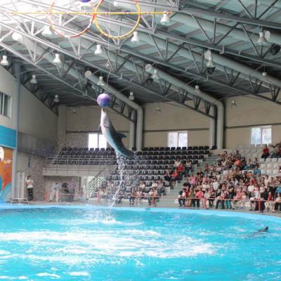 Dolphinarium 02