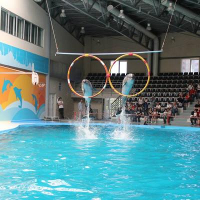 Dolphinarium 05